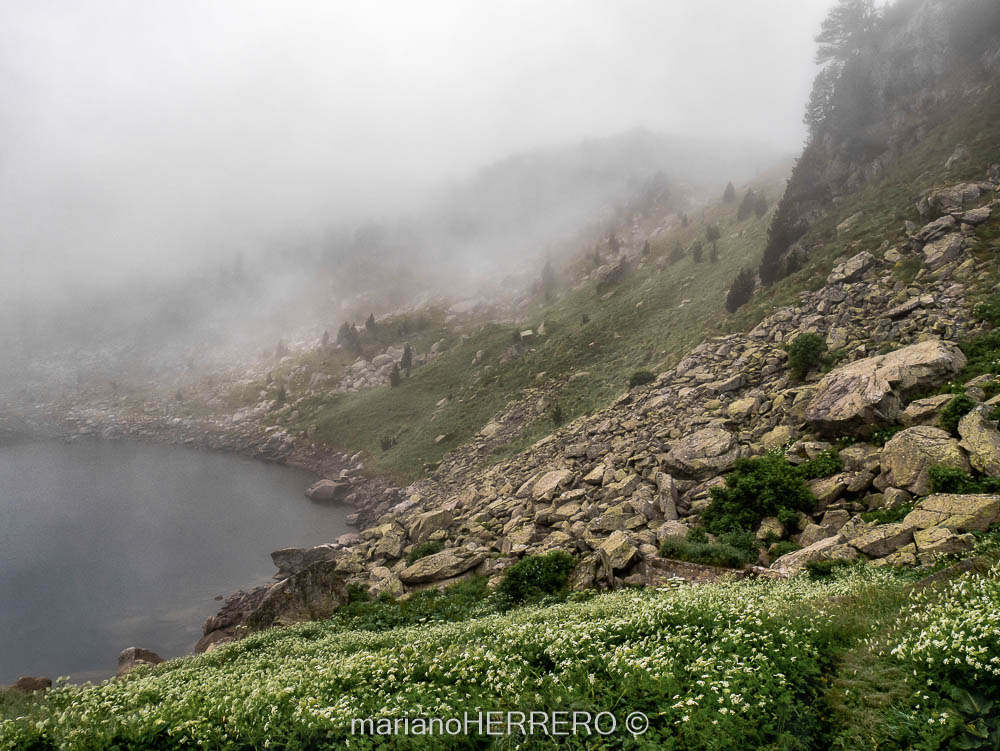 Qué ver en los Valles de Arán y Boí en los Pirineos de Lleida