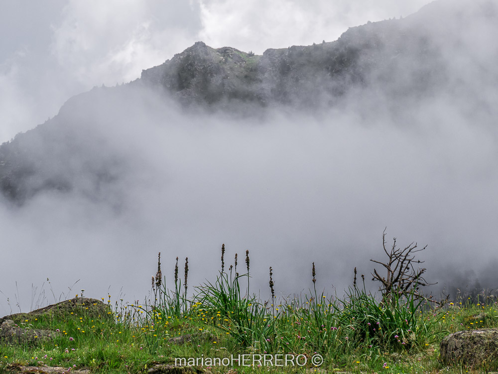 Qué ver en los Valles de Arán y Boí en los Pirineos de Lleida