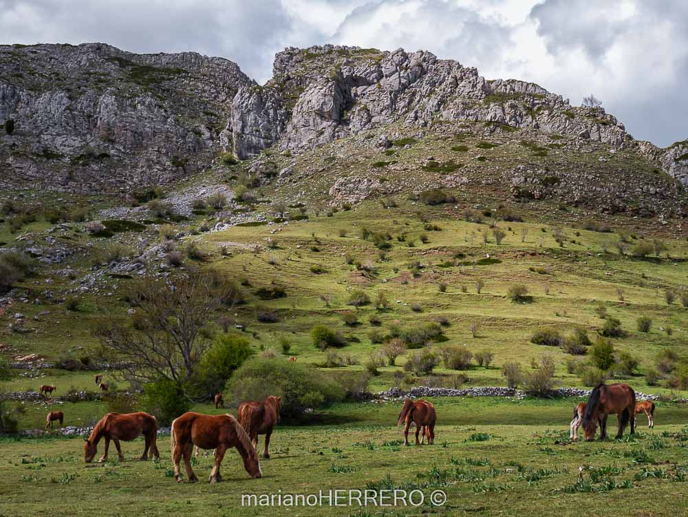Qué ver y visitar haciendo senderismo por Babia en León