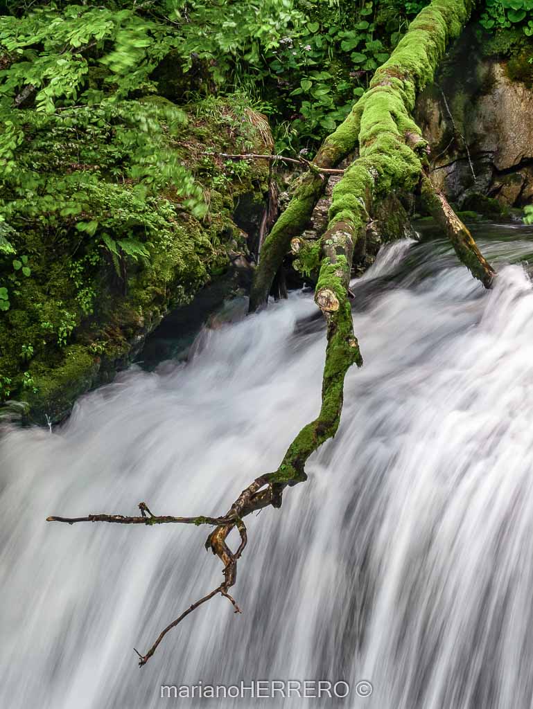 Qué ver en los Valles de Arán y Boí en los Pirineos de Lleida