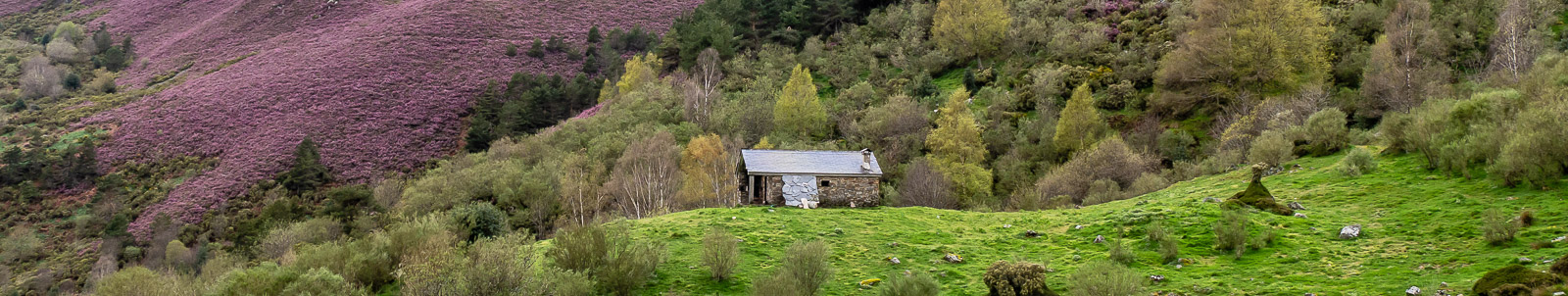 Campa y Refugio de Brego
