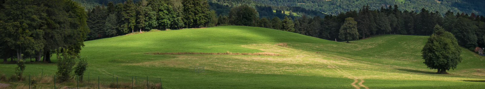 Ruta del Petit Ballon
