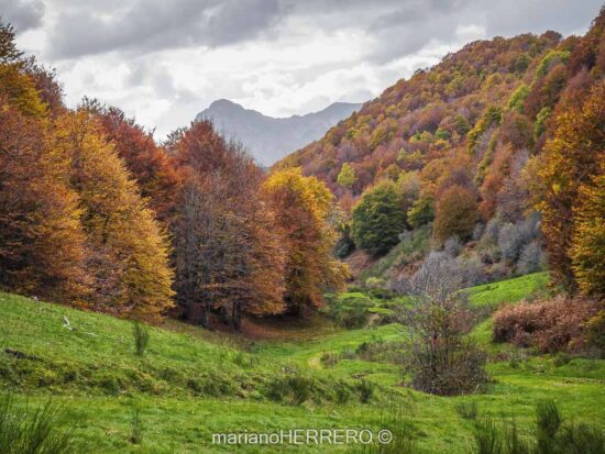 Visitar el Parque de Riaño y el Valle de Sajambre