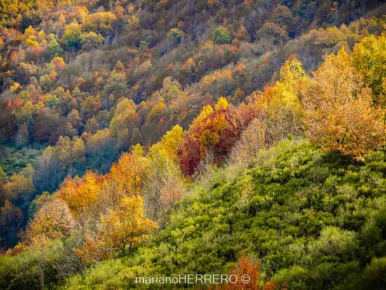 Visitar el Parque de Riaño y el Valle de Sajambre