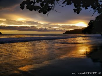 Qué ver y visitar en Costa Rica. Parque Nacional Manuel Antonio. Playa de Espaldilla