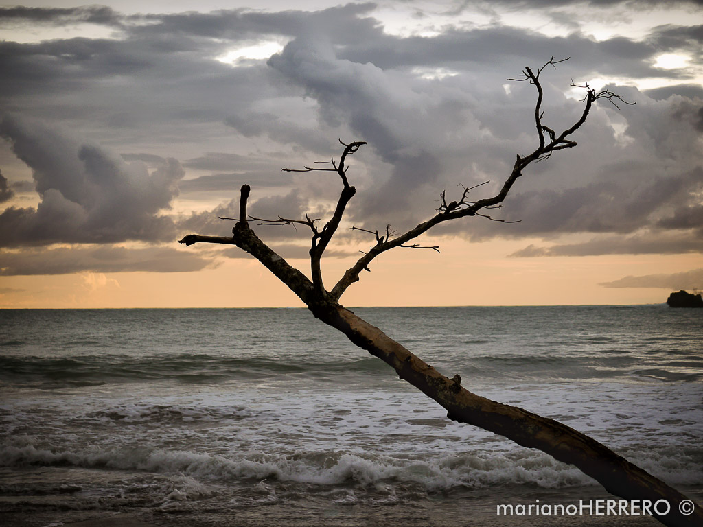 Qué ver y visitar en Costa Rica. Parque Nacional Manuel Antonio. Playa de Espaldilla